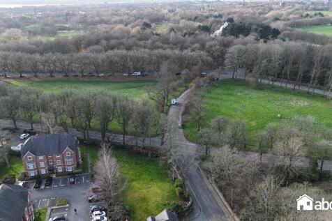 DJI_20260303151713_0427_D.jpg