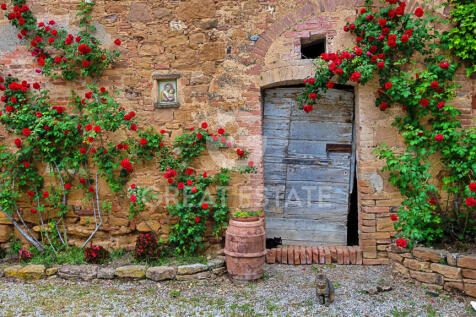 Panorama e Particolari