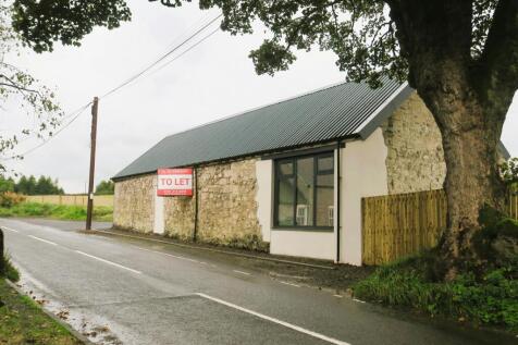 IMG_2152 adjusted.JPG