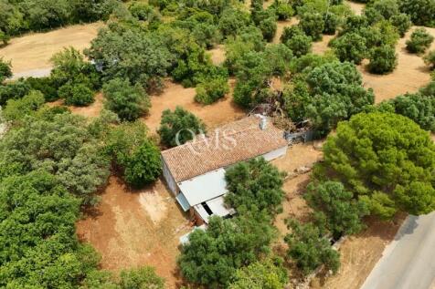 DJI_20260624131441_0061_D
