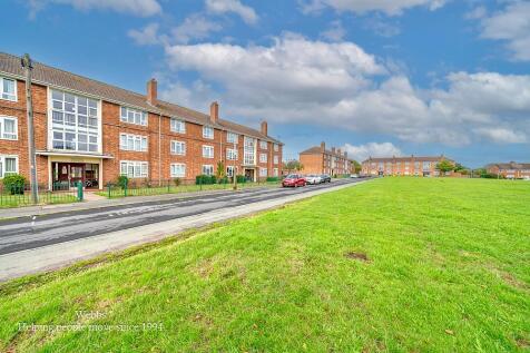 webbs -34.JPG