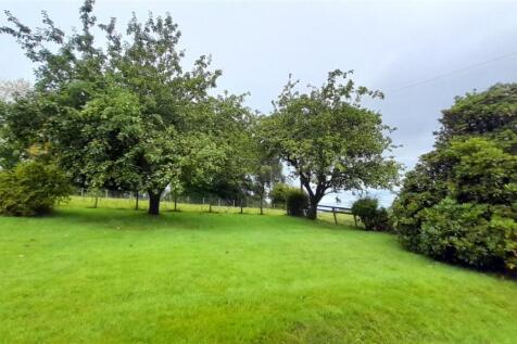 Back Garden