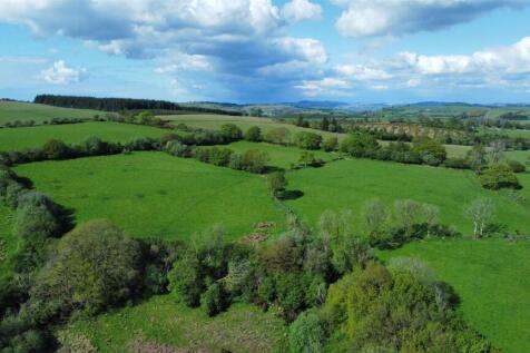 dji_fly_20260507_163708_518_1778168431851_photo_op
