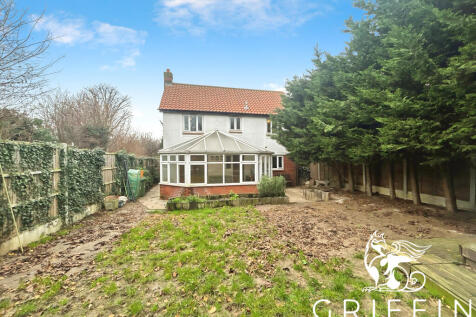 1d1149d5dji20251216120500134