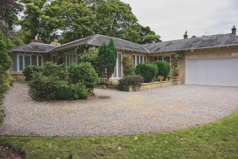 DSC_7742 as Smart Object-1.jpg