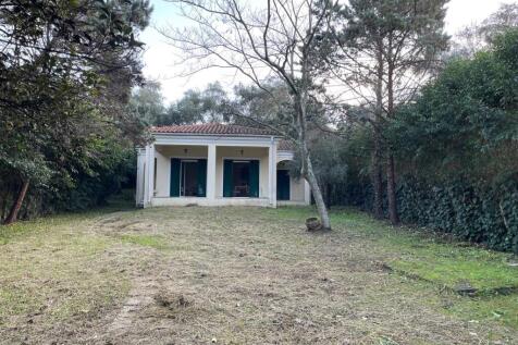 house from garden gate