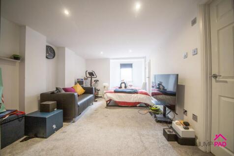 Basement Bedroom and Living room