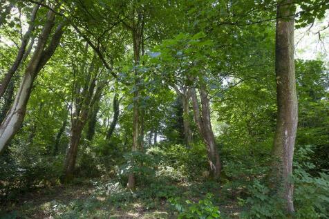 Woodland 