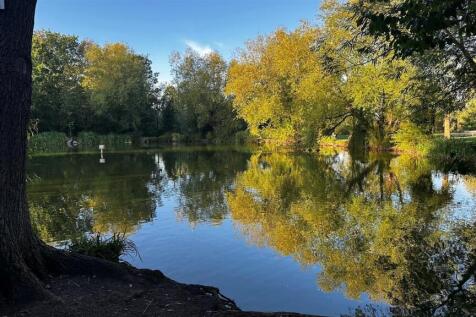 Spring Grove Pond.jpg