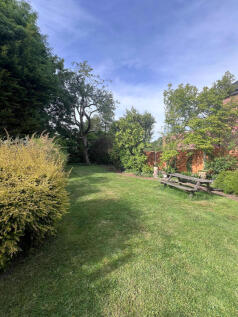 garden  (5)
