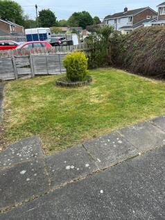 Front garden
