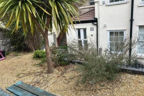 Private gravel garden with tropical palm tree...