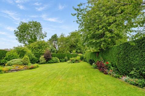 Garden 3(1).jpg