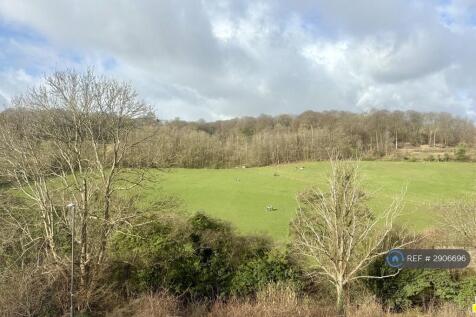 Views Opposite