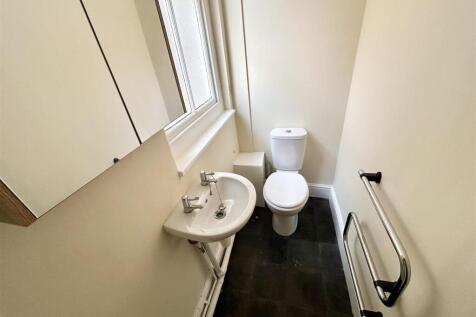 Toilet 24'.jpg