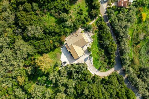 bird view