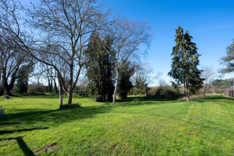 Local park