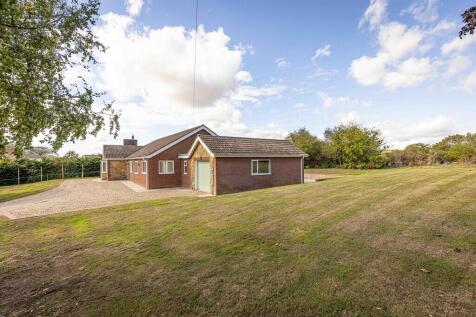 Springfield Rasen...