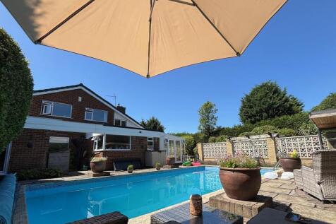 Vendor Garden Photos_12.jpeg