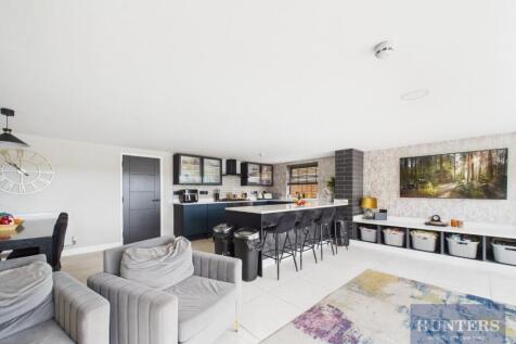 Kitchen / Living Area