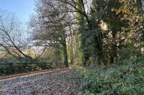 Grounds