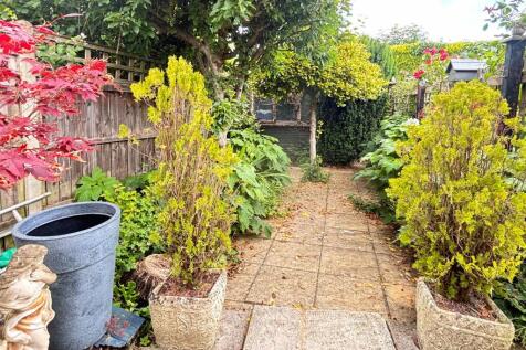 Garden 4