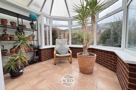 IMG_8472 (Large).jpg