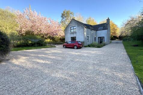 Side/Driveway 