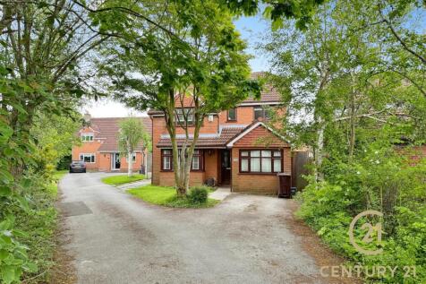 Property Image 20
