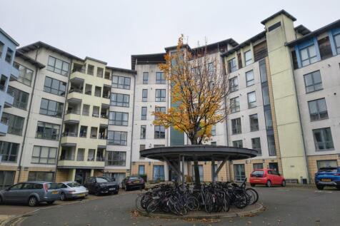 IMG_20251016_093534949_HDR_AE