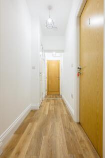 20250905 23ERidley P