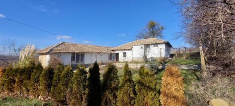 View of the white rural house with tiled roof and evergreen shrubs in front under a clear blue sky.