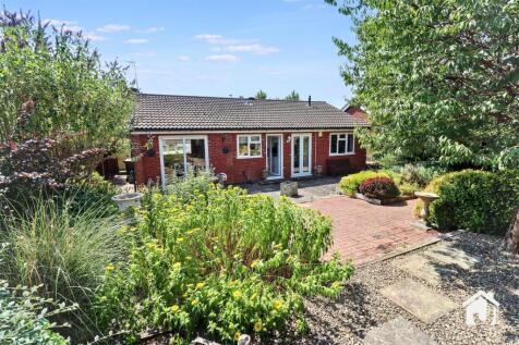 IMG_2266.jpg