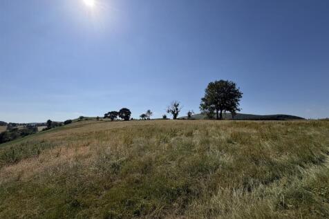 IMG_2946.JPEG