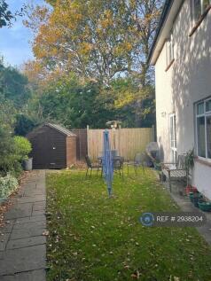 Garden And Shed
