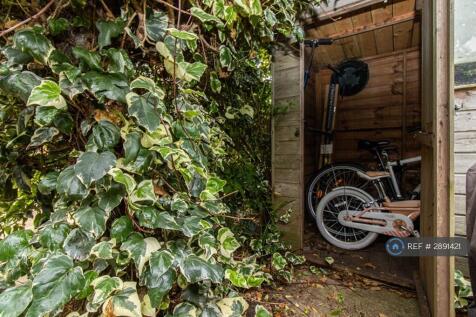 Shed