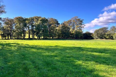 Photo 08-10-2025, 14 28 21.jpg