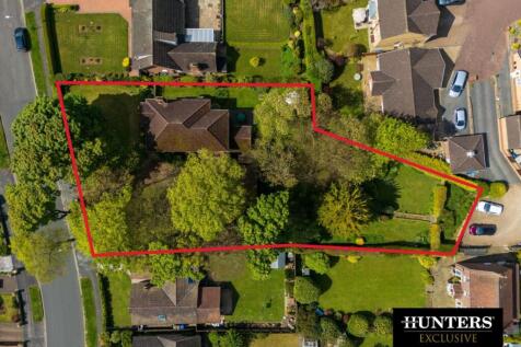 Untitled design (20).jpg