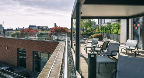 5_Howick_Place_Terrace_05.jpg