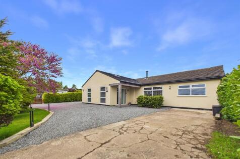 In and Out Driveway