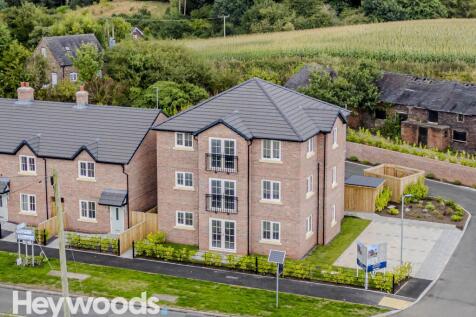 20240829-DJI_0520-Enhanced-SR