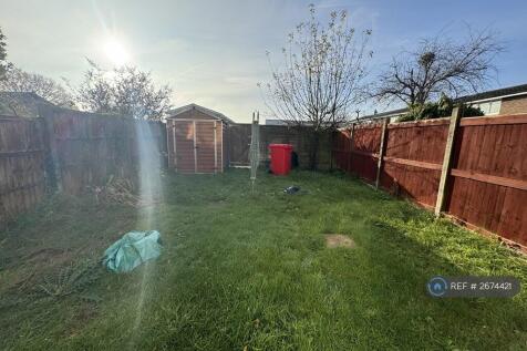South Facing Garden