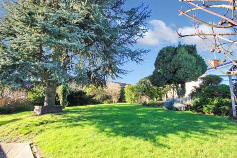 garden 1.JPG