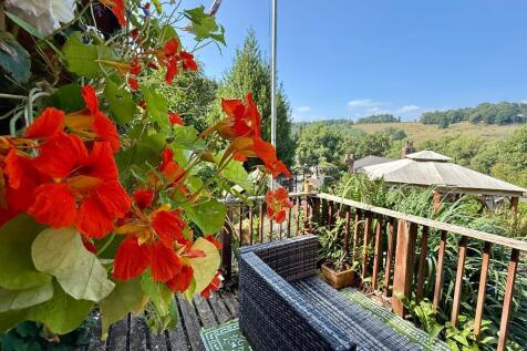 Beautiful garden views