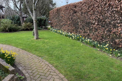 Property Image 44