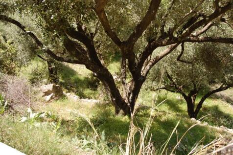 Terrain &amp; landscape