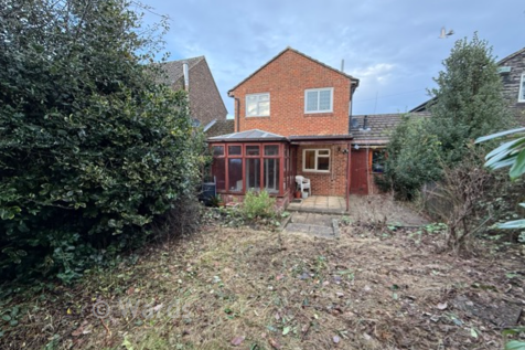 Rear Elevation