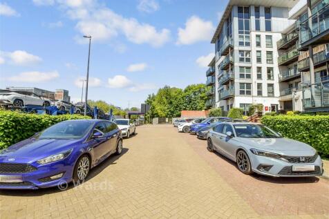 Driveway/Parking