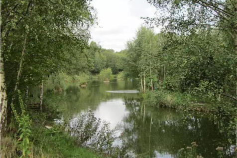 photo 4.jpg