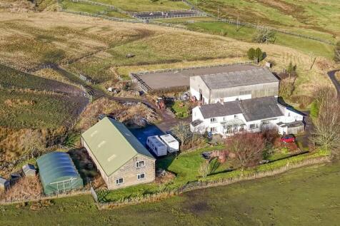 Aerial Front View